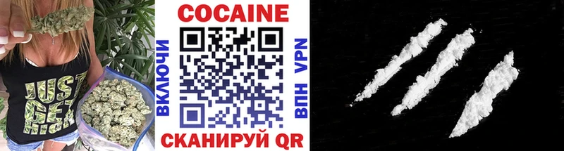 Cocaine FishScale  Нолинск 
