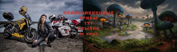 дмт Алексеевка